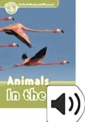 Read and Discover 3:ANIMALS IN THE AIR MP3