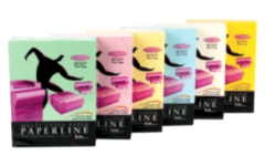 Paperline Renkli Fotokopi Kağıdı A4 80 gr 500 Lü Turuncu