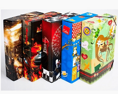 Perfect Lastikli Kutu Klasör